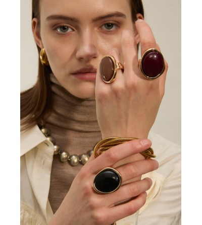 Anillo grande marrón portada