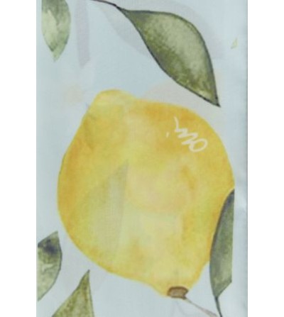 Foulard limones Oui portada