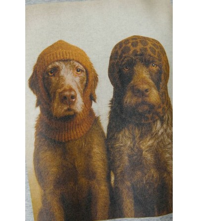 Camiseta perros gris Oui portada